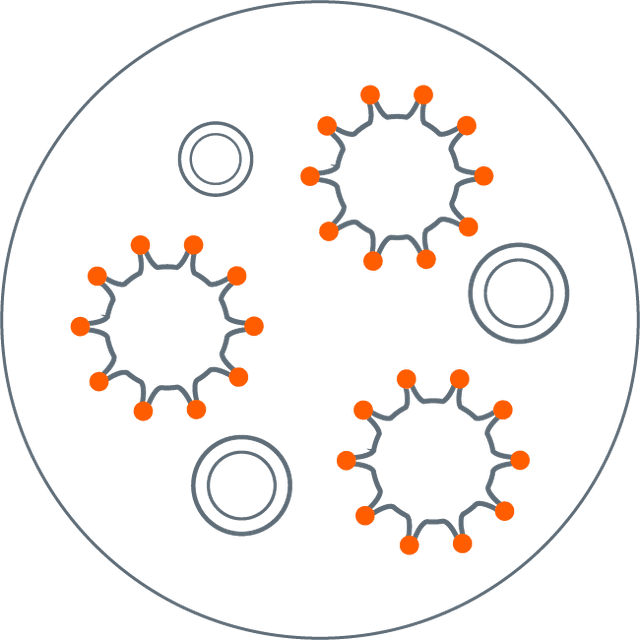 Illustration representing hematopoietic cell transplantation patient population for infectious disease testing